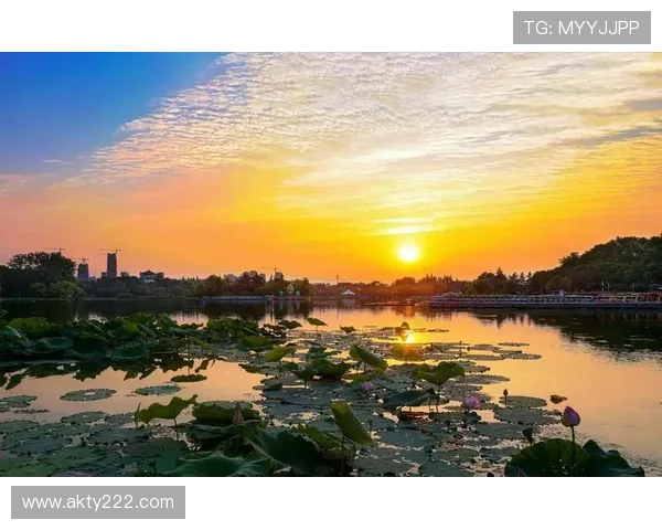 第63期开奖直播全程回顾，精彩瞬间不容错过